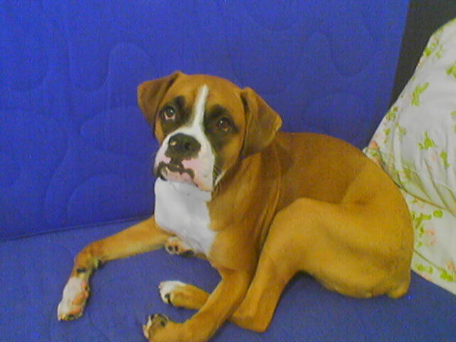 keeroff 9months old