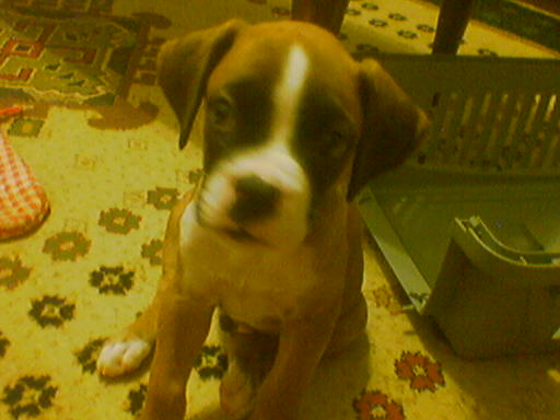 keeroff7weeks