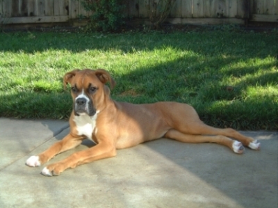 Keeya 6 months old.