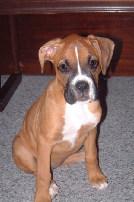 Keeya11weeks