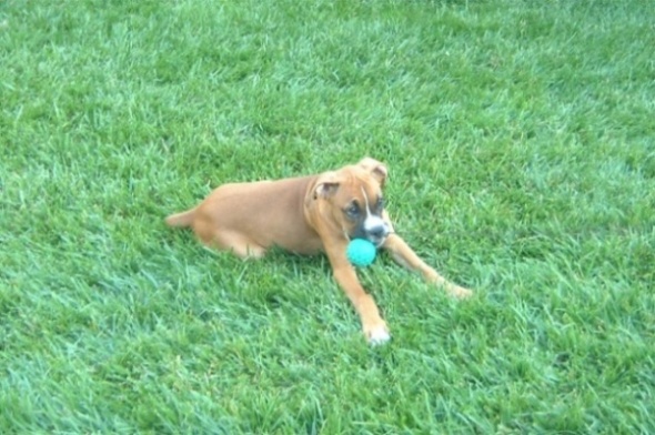 Keeya_with_Ball