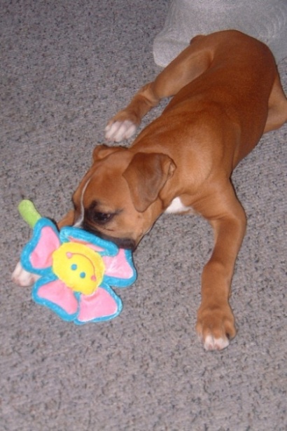Keeya_with_toy