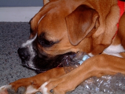 Keeya's favorite toy1