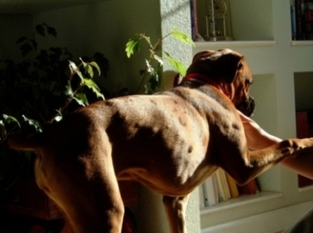 Keeya's hives 01/04/06