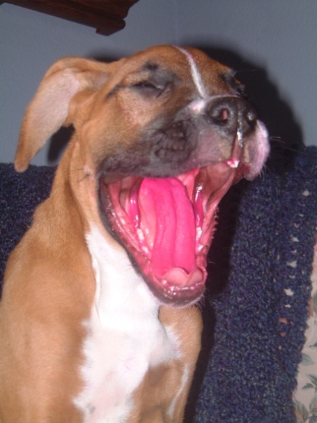 Keeya's Red Mouth
