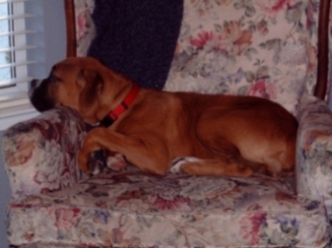 Keeya's_Chair