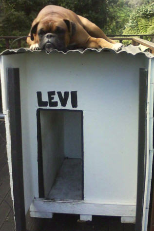 kennel