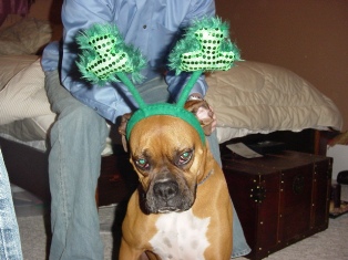 Kenzie on ST. Pats Day