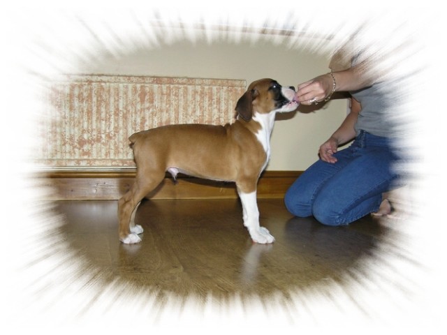 Khan  at 9 weeks