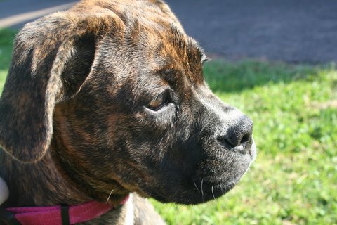 Kia @ 4 months