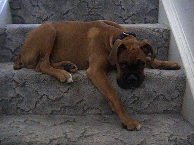 kickin it on the stairs