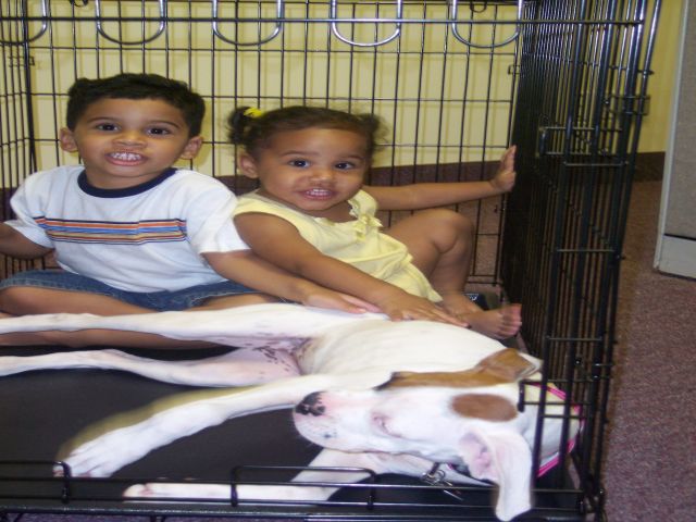 kids in cage