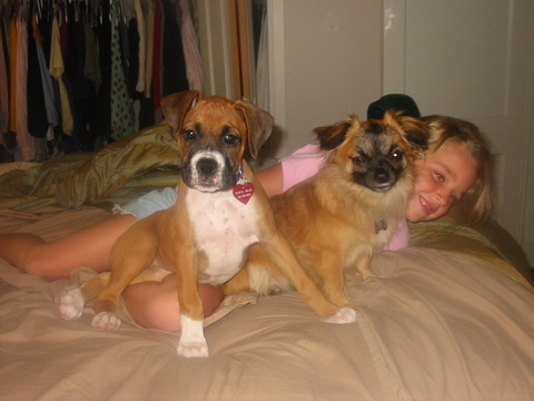 Kids on the bed