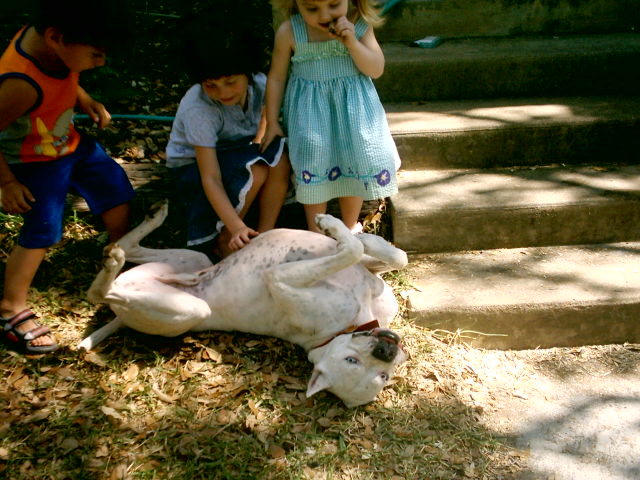 Kids With Jax