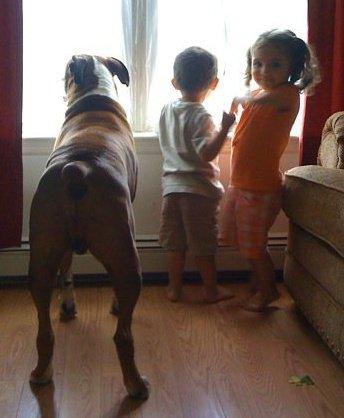 kids_waiting_for_daddy
