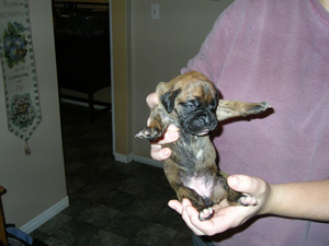 Kiki @ 2 weeks