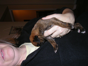 Kiki @ 2 weeks