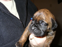 Kiki @ 2 weeks