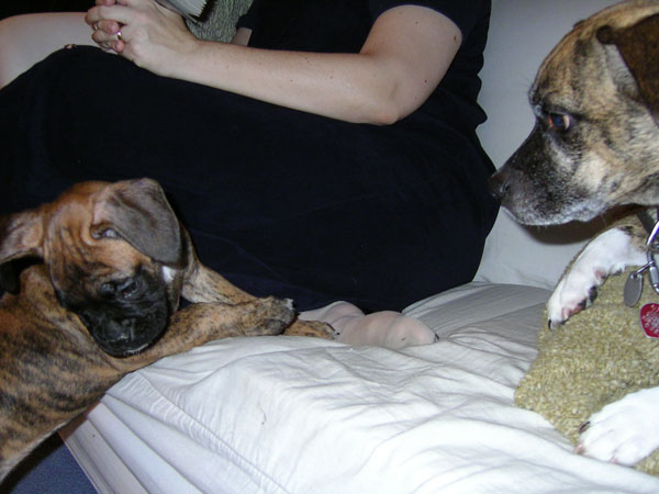 kiki getting told off by lola