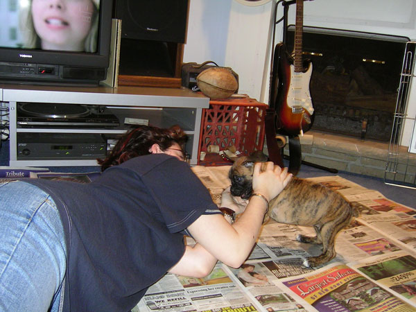 kiki playing with me on her first night