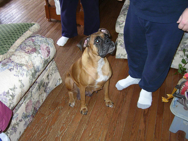 kiki's mommy, Jill