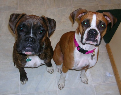 Kilbane and Jazzy