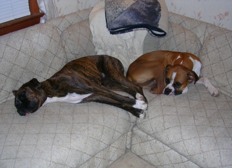 Kilbane & Jazzy
