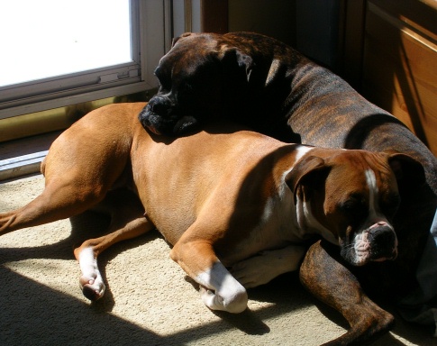 Kilbane & Jazzy