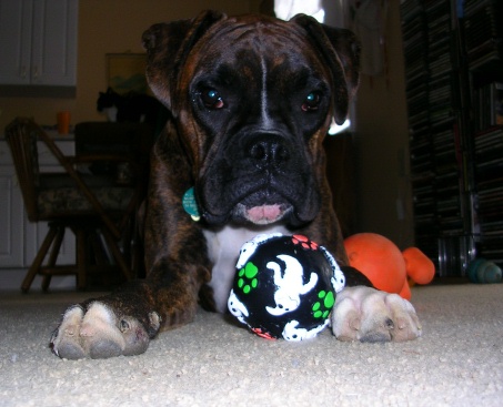 Kilbane