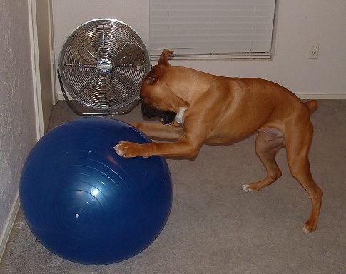 KILLBALL