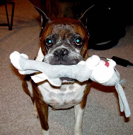 Killian and his bunny