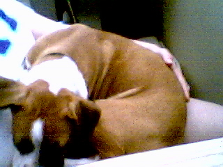 kimber in january