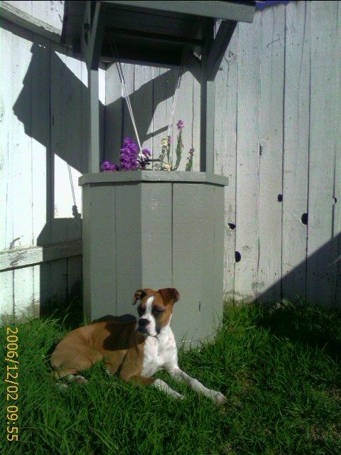 Kimber Water Fountain