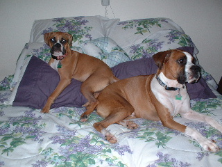 King and Queen on the bed of course