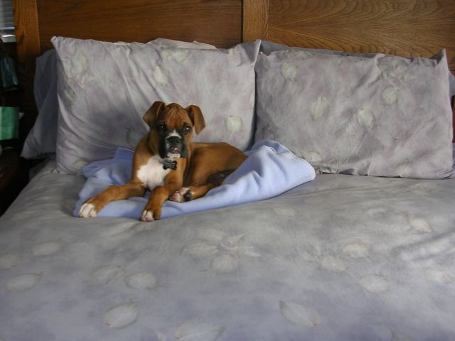 King Cooper