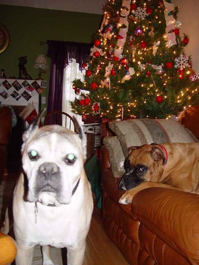 King & Hummers Xmas card 2005