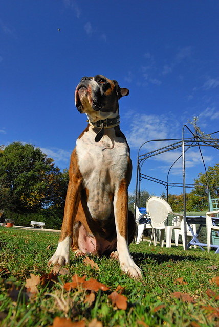 King of all he surveys