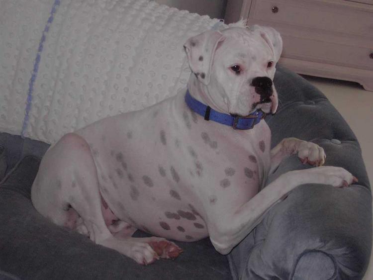 King Tyson on his throne
