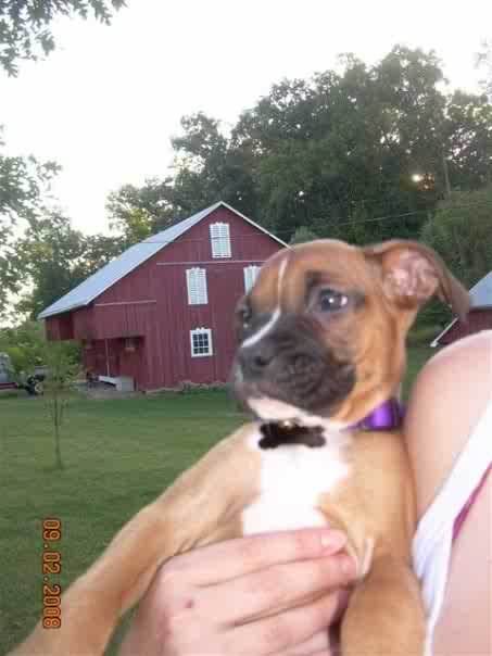 Kinley