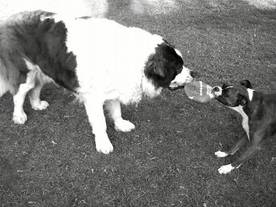 Kira & Big brother Crosby