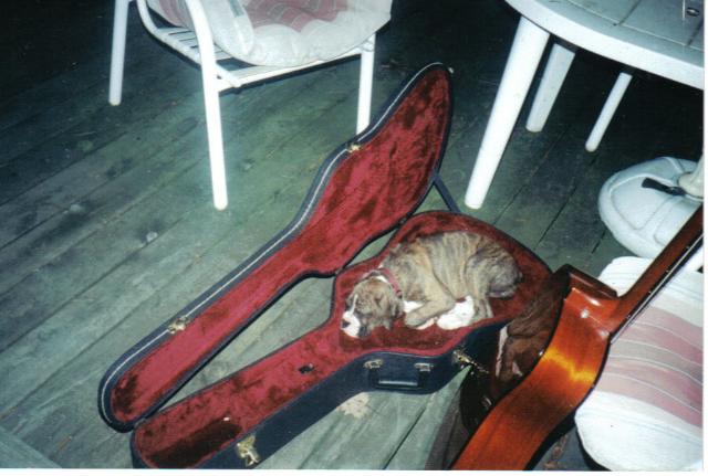 Kira preparing for the show!