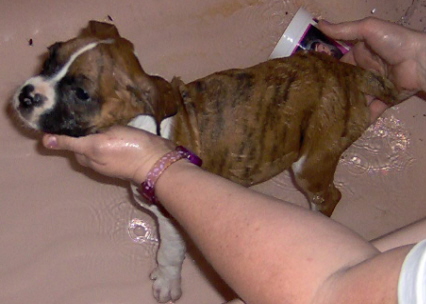 Kira's 1st bath