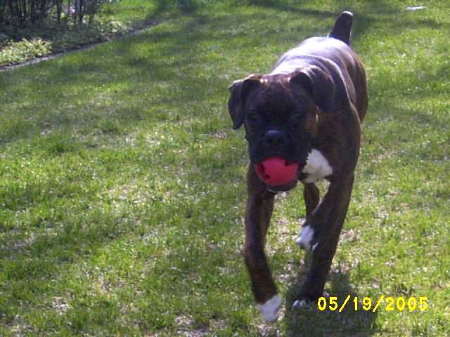 Kirra-ball