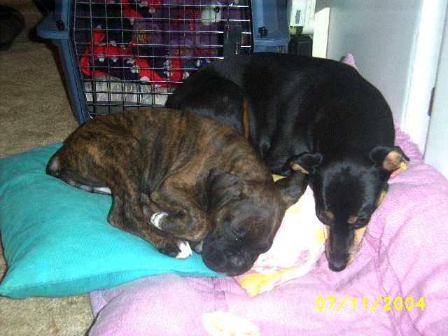 Kirra & Riley 1st Sleepover
