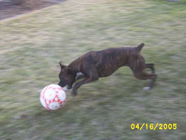 Kirra-soccer