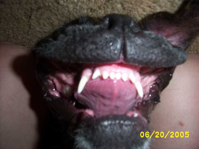 Kirra-upsidedown