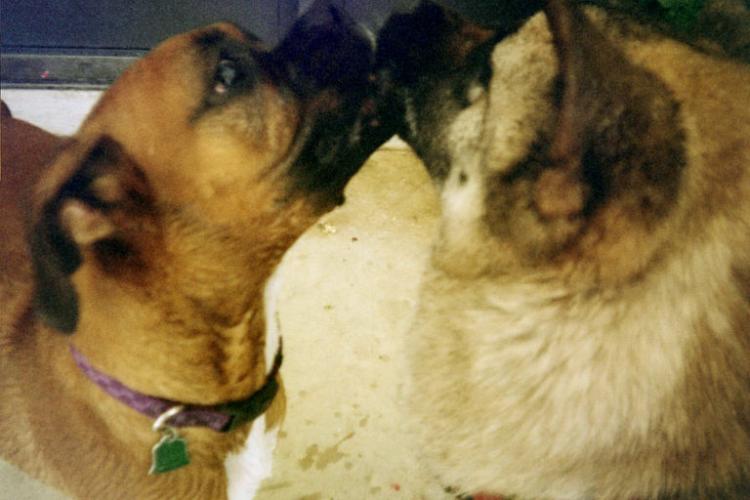 Kisses for Everyone!