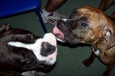 Kisses for YOU!
