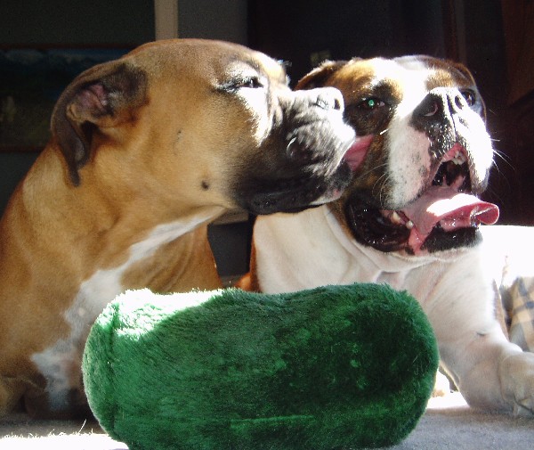 kisses