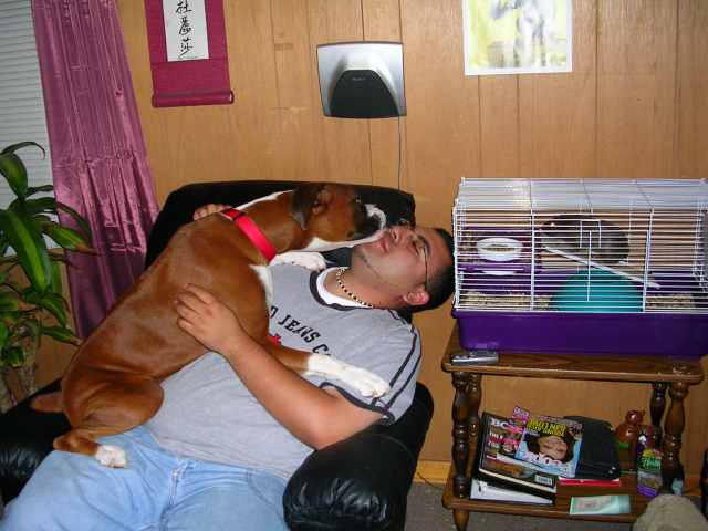 kisses